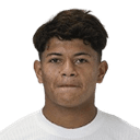 Luiz Fernando